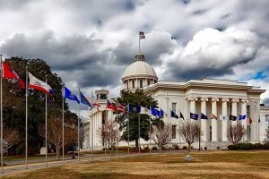 government | case management system