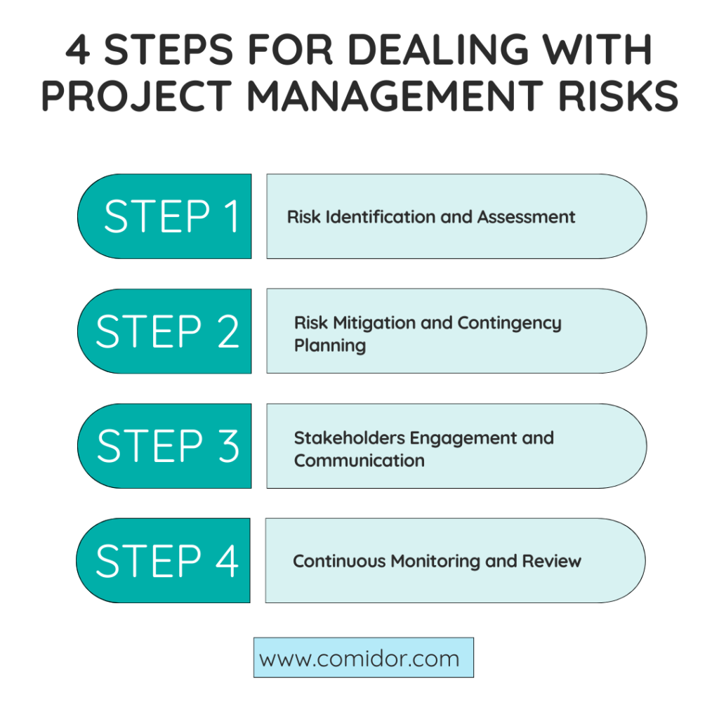 steps to deal with pm risks