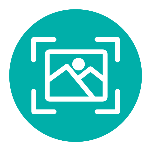 Image Classification